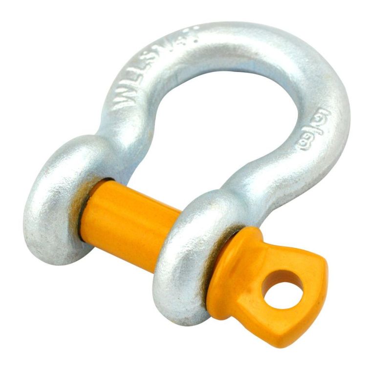 Hot Selling Leading Bow Shape Shackle for Lifting Machinery Industry with Low Cost