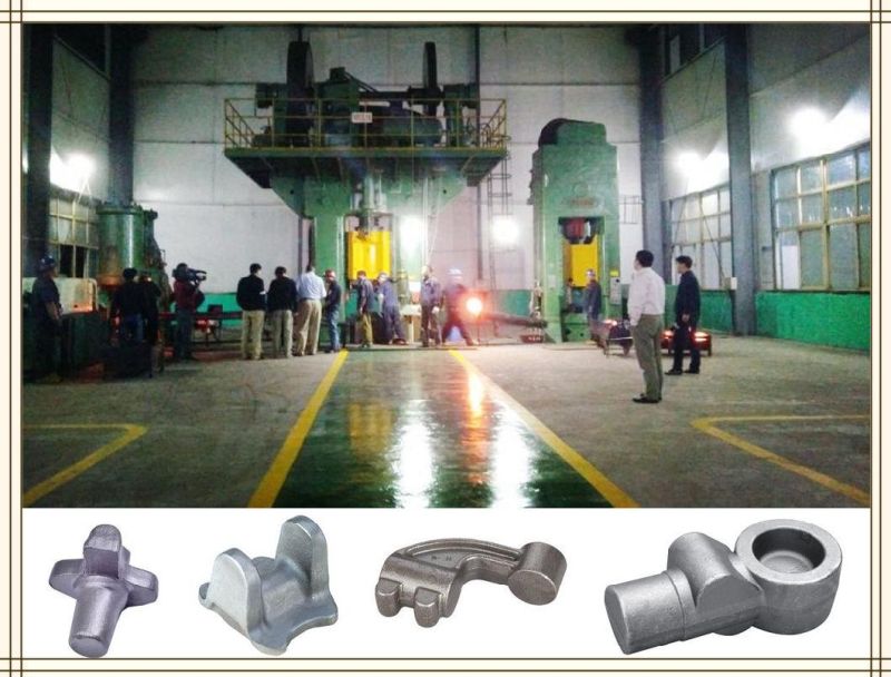 High Quality Made in China OEM Customized Hot Forge Hooks
