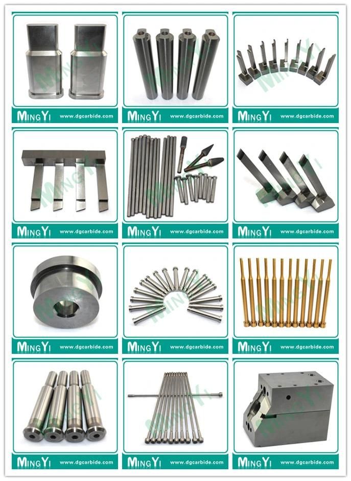 Preicion Series Mold Parts with Guide Bush Punch