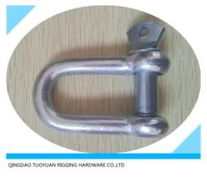 European Type Stainless Steel, Steel Galvanized D Shackle