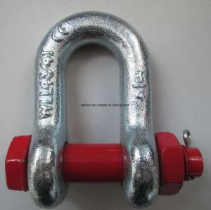 Us Bow Type Shacke and U Type Shackle