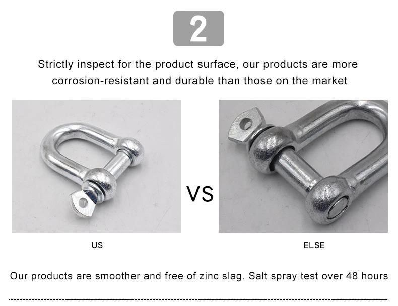 European Type Drop Forged D Shackle Italy Type