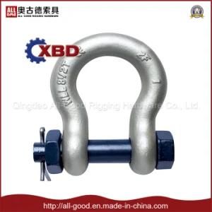 Us Type Drop Forged Safety Bow Shackle with Bolt and Nut