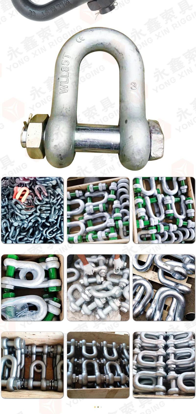 Shackle Bolt Brave Gold Factory Supply Stainless Steel 304/316 Shackle with Safety Bolt Pin