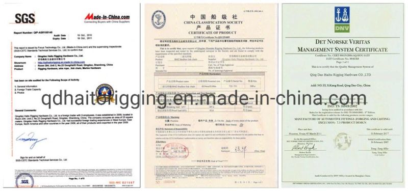 Chinese Manufacture Link Chain of DIN763764/766 with Durable Modeling