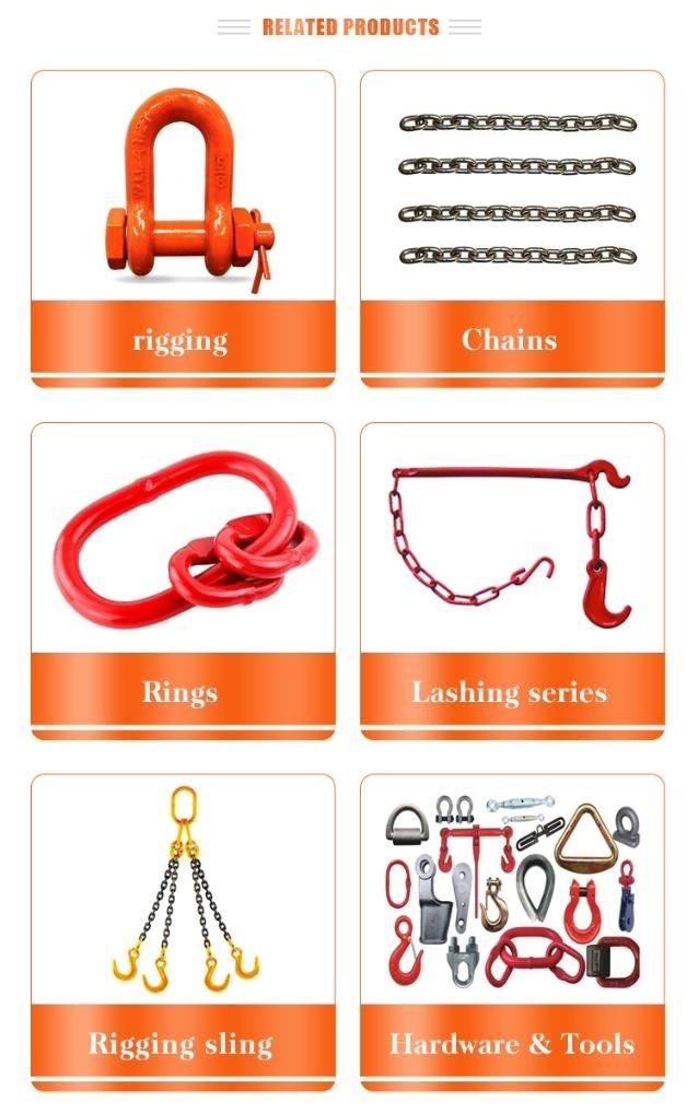 Us Type Eye Hoist Hook Lifting Hook with Good Quality