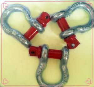 Us Type G209 Screw Pin Anchor Shackle Bow Shackle