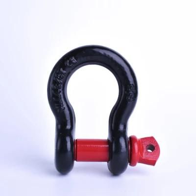 304 / 316 Stainless Steel G209 Us Type Bow Shackle with Screw Collar Pin