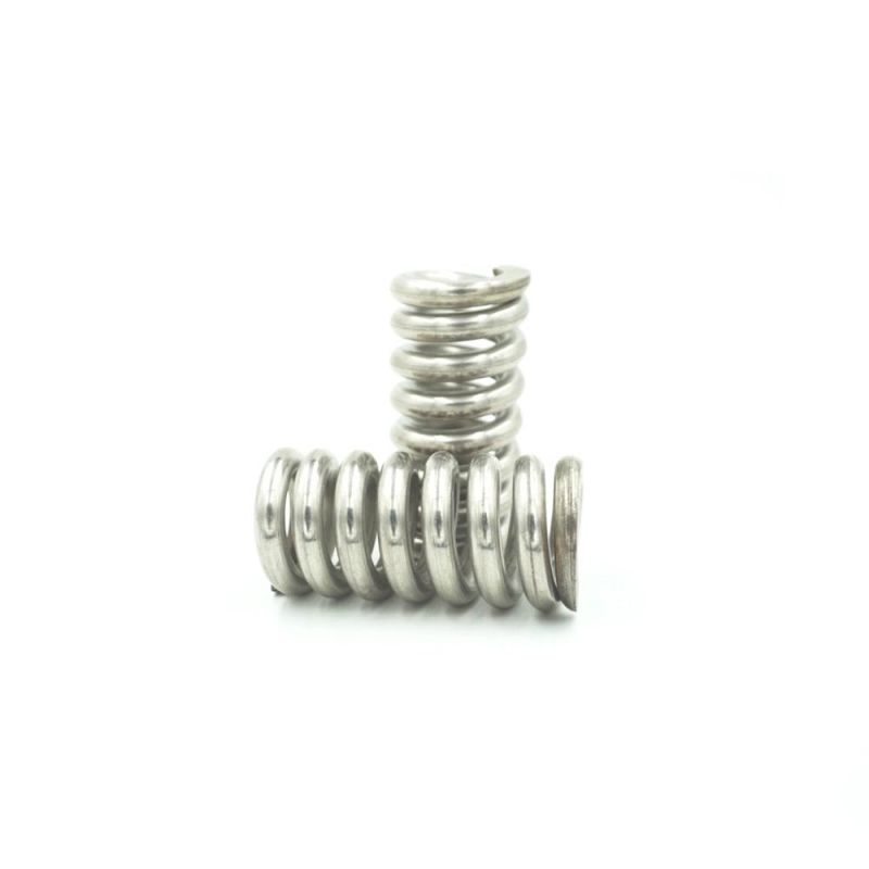 SUS304 Steel Flat Wire Spring