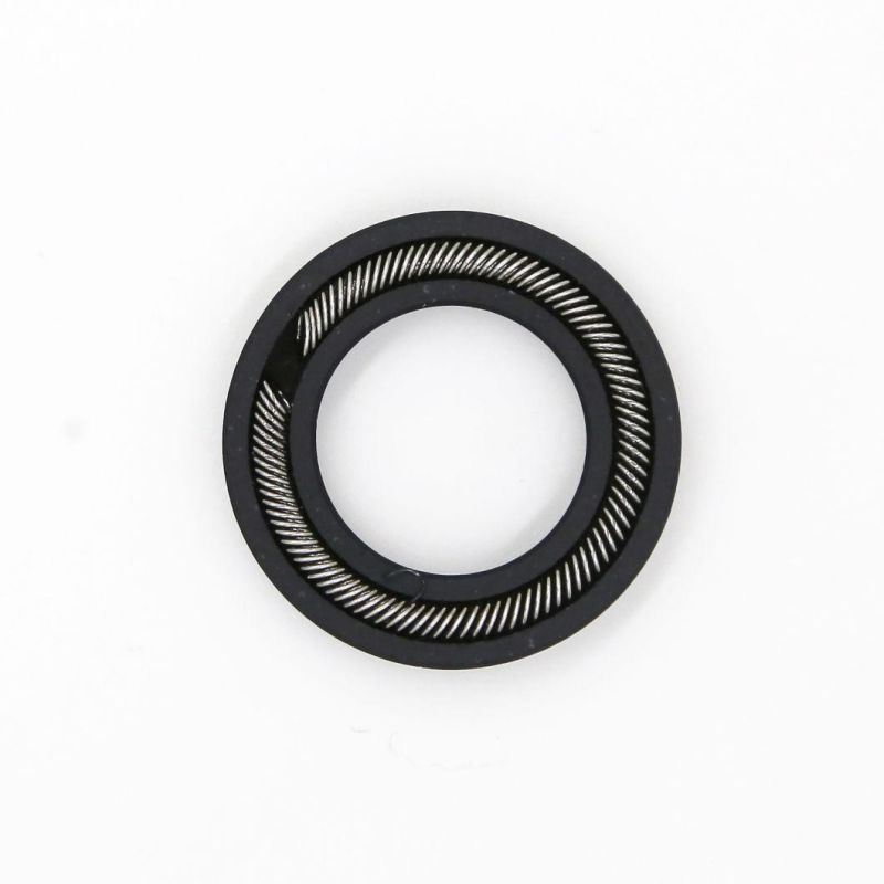 OEM Competitive Price Stainless Steel Garter Spring