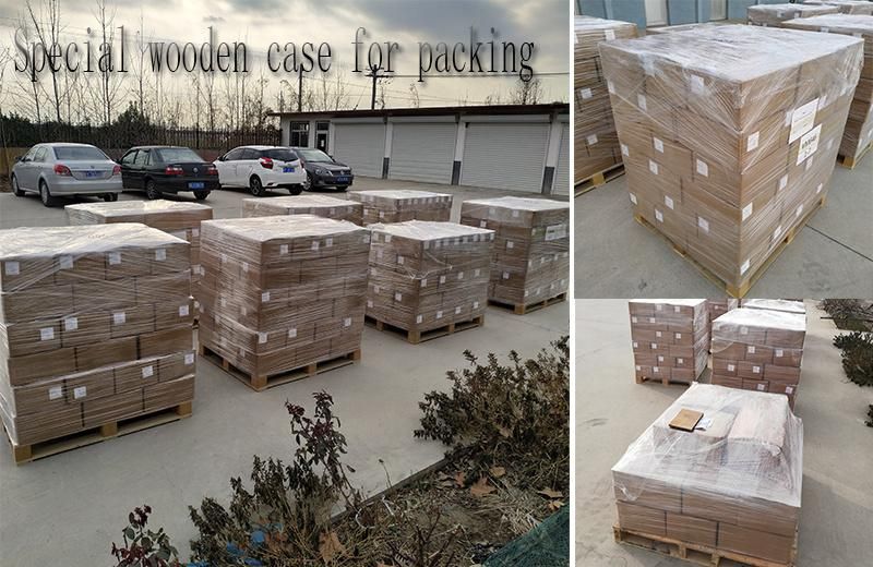 Stainless Steel Toggle Latch Fastener Manufacturer