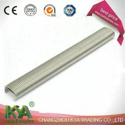 Galvanized 15ss100 Hog Rings for Furnituring, Industry