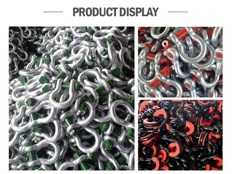 Thinkwell Forged Factory Price Carbon Steel Trawling Shackle