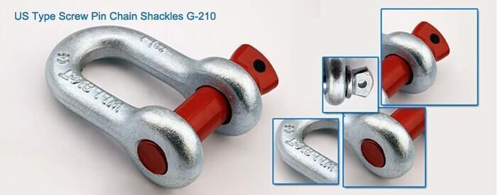 Screw Pin Us Type Steel Drop Forged D Shackle G210