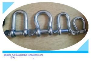 JIS Type Screw Pin D Shackle