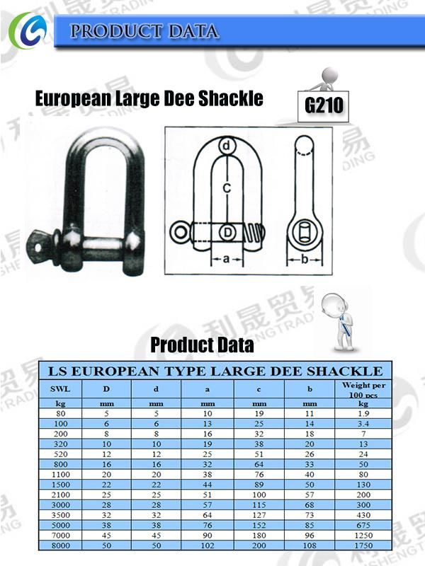 Factory Europe Type Large D Shackle