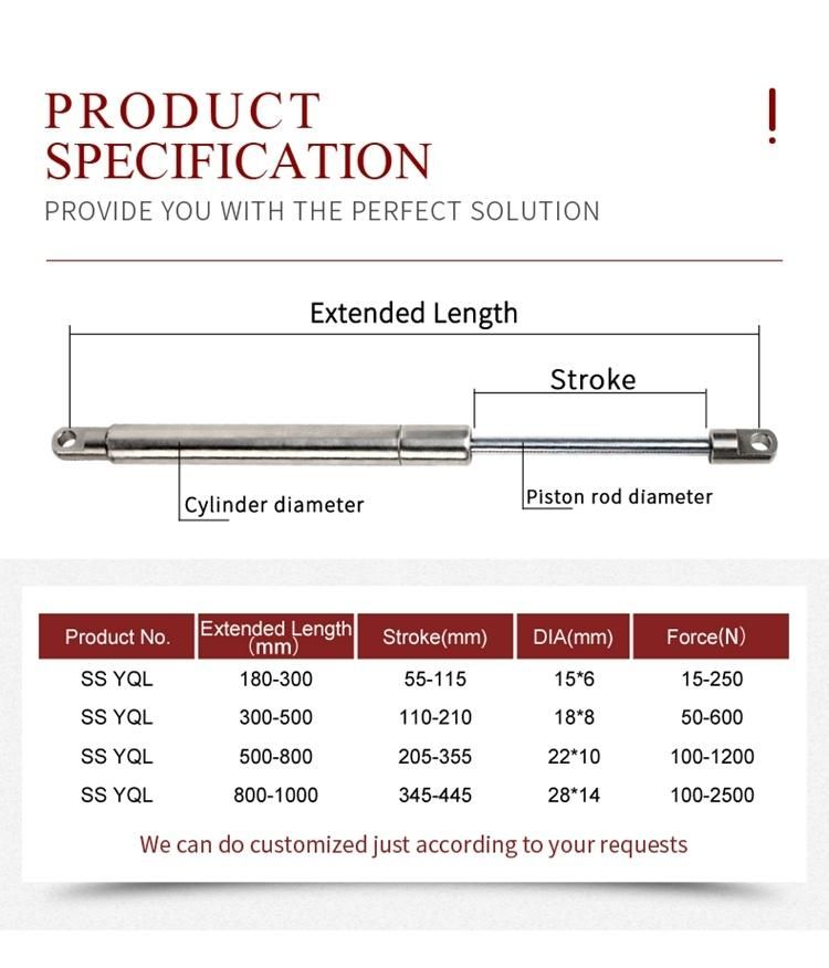 SS316 Gas Springs with SS316 Ball Studs Hot Sale