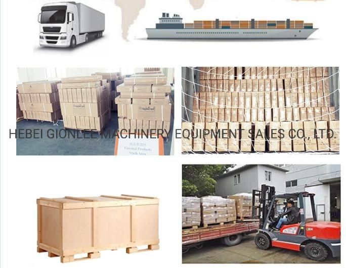 SS304/316L Germany Type Tube Clamp