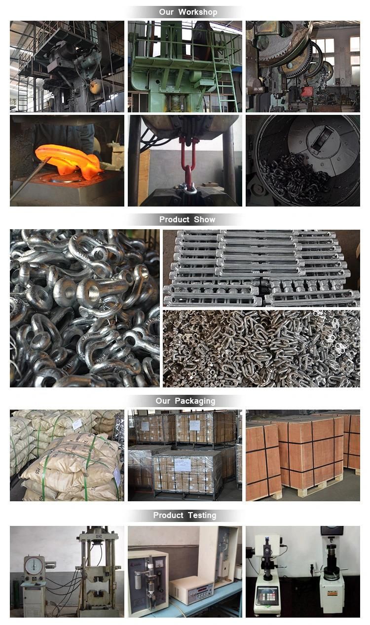 G210 Lifting Electro Galvanized Screw Pin Us Dee Type Carbon Steel Drop Forged Marine Rigging Chain D Shackle