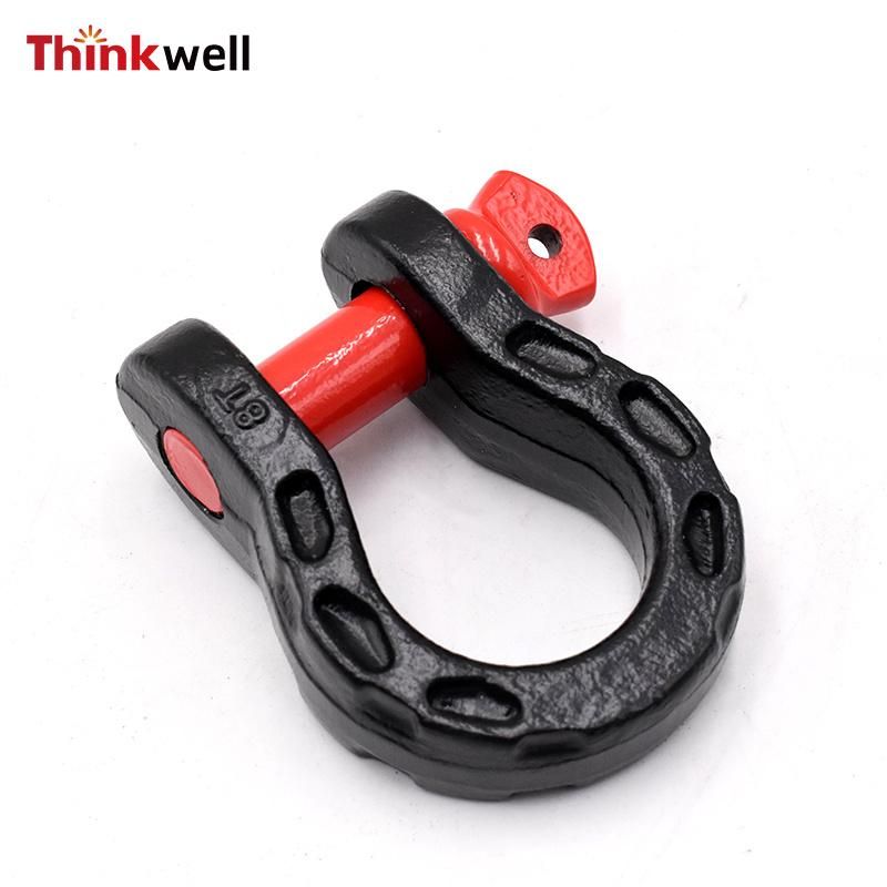Special Design Forged D-Ring Shackle