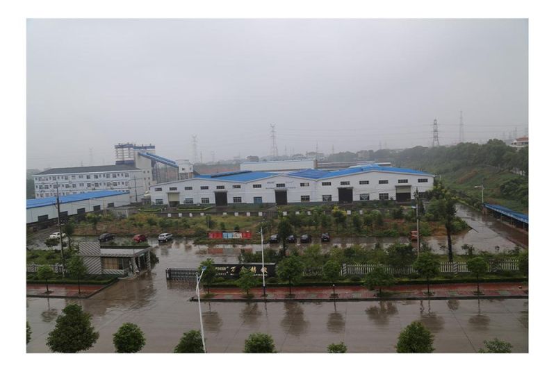 Stainless Steel Roller Chain and Other Special Conveyor Chain for Industrial Equipment