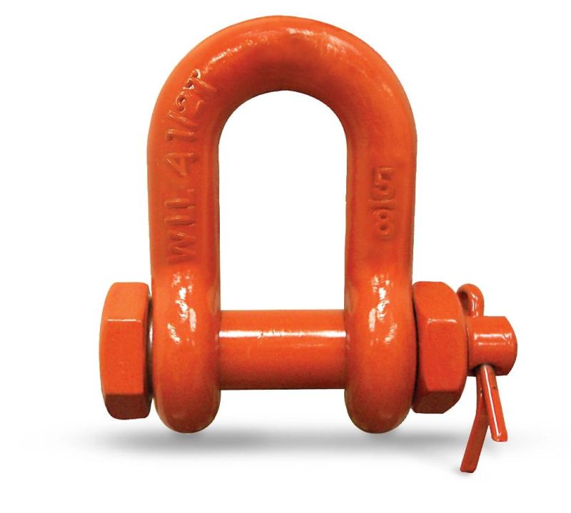 Factory Price Hot Sale Competitive D Shackle with Nut for Chain Sling Heavy Industry