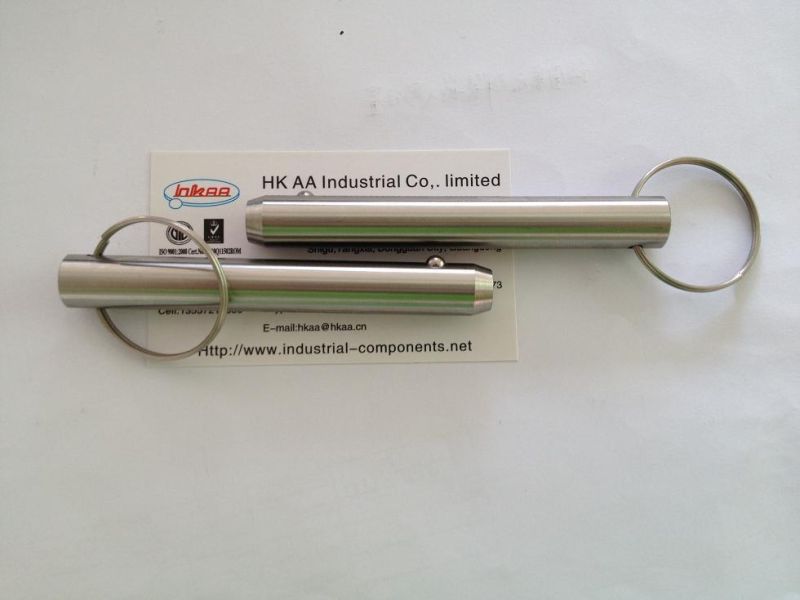 Stainless Steel Ball Spring Loaded Plunger