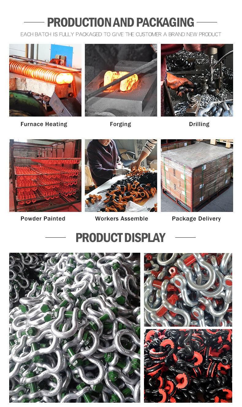 Us Type Forged Chain G2150 D Shackle with Screw Pin