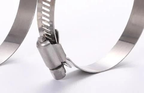 Stainless Steel Tightener American Style Hose Clamp