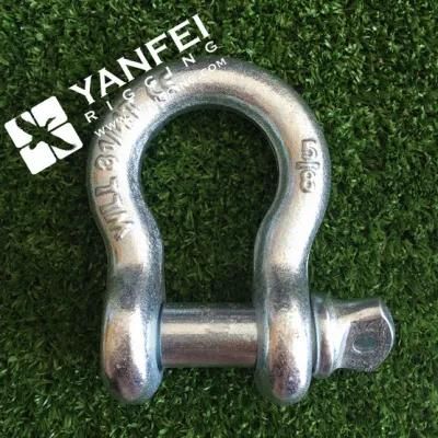 Us Type Screw Pin Anchor Shackle of G209 Shackle