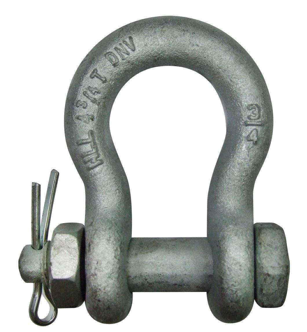 China 20 Years Factory Standard Sizes Bow Shackles for Chain Lifting Heavy Industry