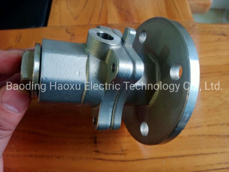 Stainless Steel SS304 Double Head Hook for Pet Traction Rope From Haoxu Factory