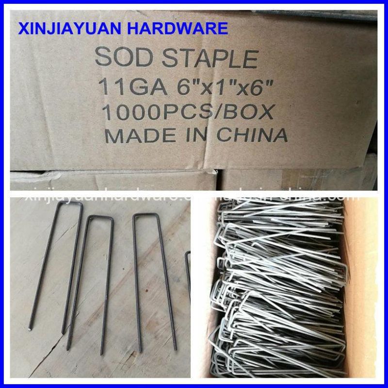 1000pkt 6′′ G Type Ground SOD Staple Wire Staple Wholesale
