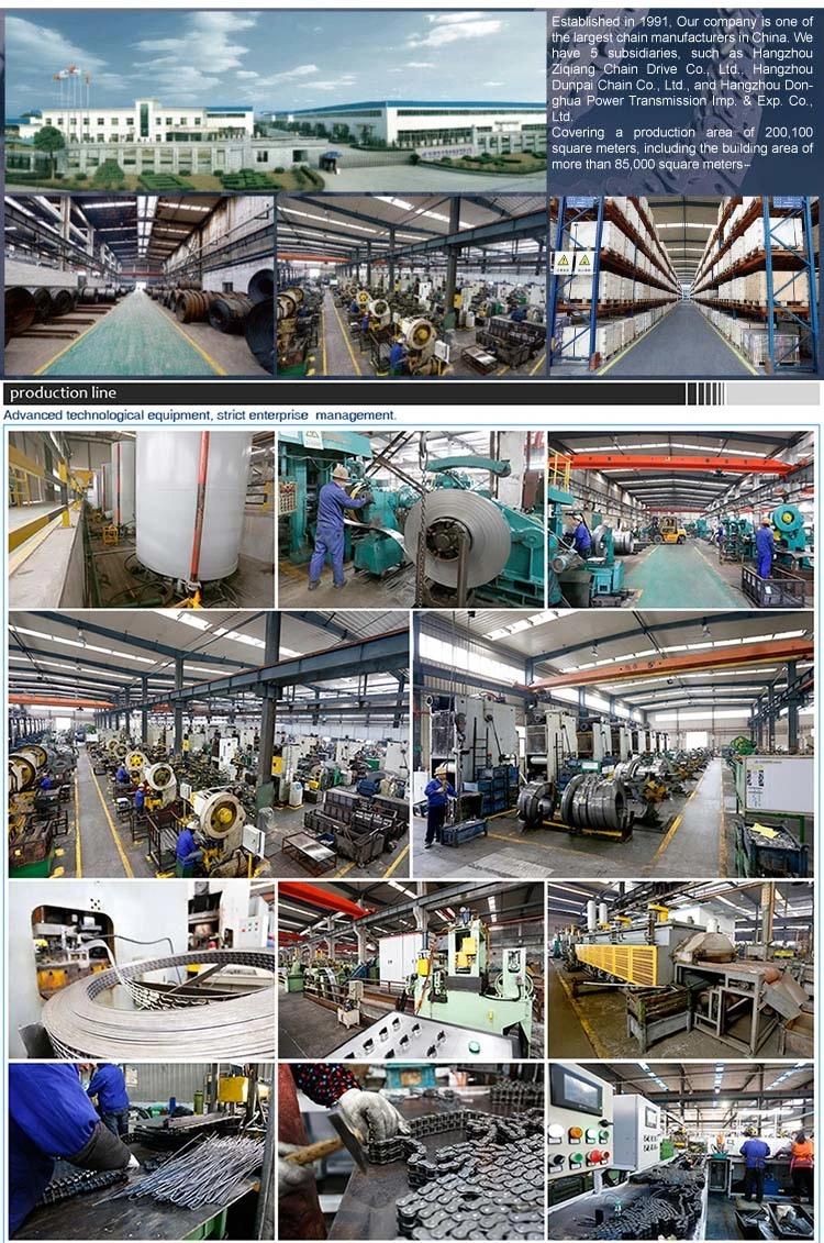 Manufacture China Conveyor Industrial Drive Agricultural Leaf roller chain hangzhou donghua hardware