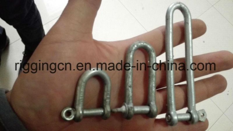 Customed Size Forged Lifting D Shackle D Ring with Screw Pin