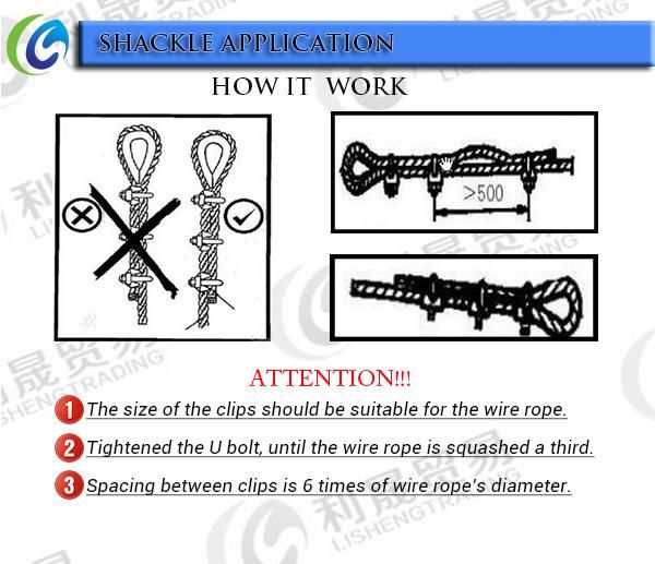 Zinc Plated DIN1142 Clips for Steel Wire Rope