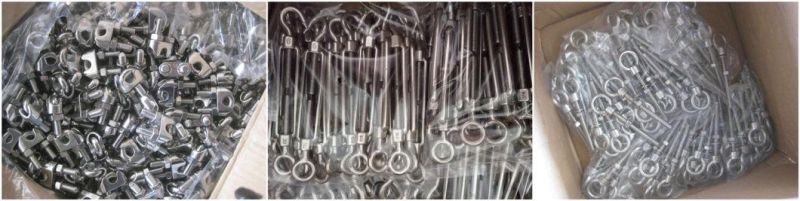Stainless Steel AISI304/AISI316 Shackle, Wire Rope Clips, Turnbuckles, Rigging Hardware