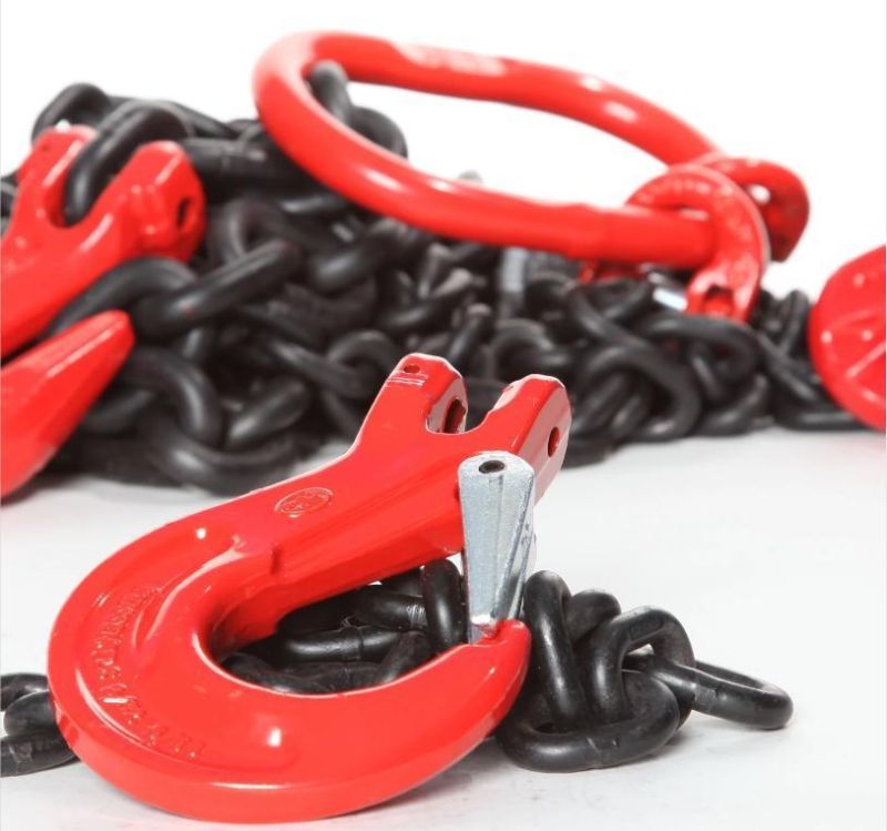 Wholesale Heat Treatment Alloy Steel Lifting Chain with Hook
