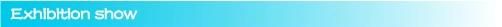 Factory Price Strong Sticky Space Saver Waterproof Adhesive Silver Wall Hook