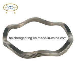 Wave Spring for Face Seal