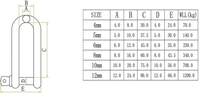304 316 Stainless Steel European Type Long Dee Shackle