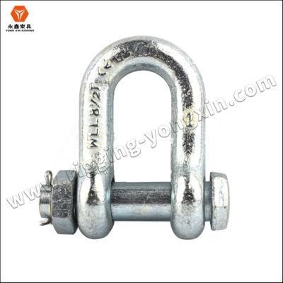 Stainless Steel Straight Dee Shackle with Flush Slotted Bolt for Marine and Industrial Rigging Aplications