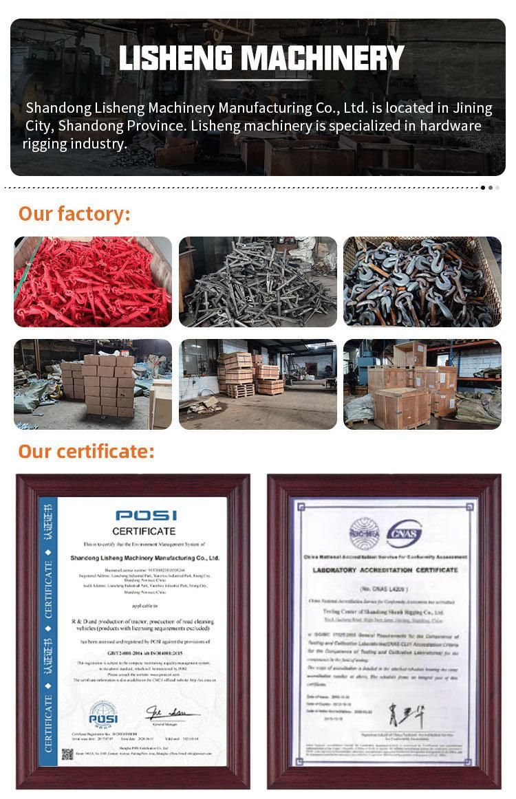 High Quality Alloy Steel Forged Lever Load Binder for Chains