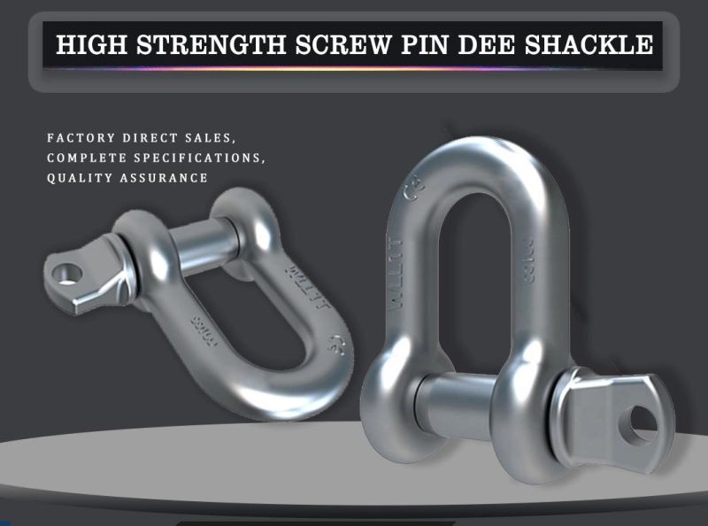 Marine Hardware Galvanized Steel Screw Pin D Shackle G210