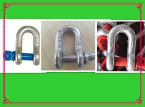 H. D. G Drop Forged D Shackle Safety Shackle
