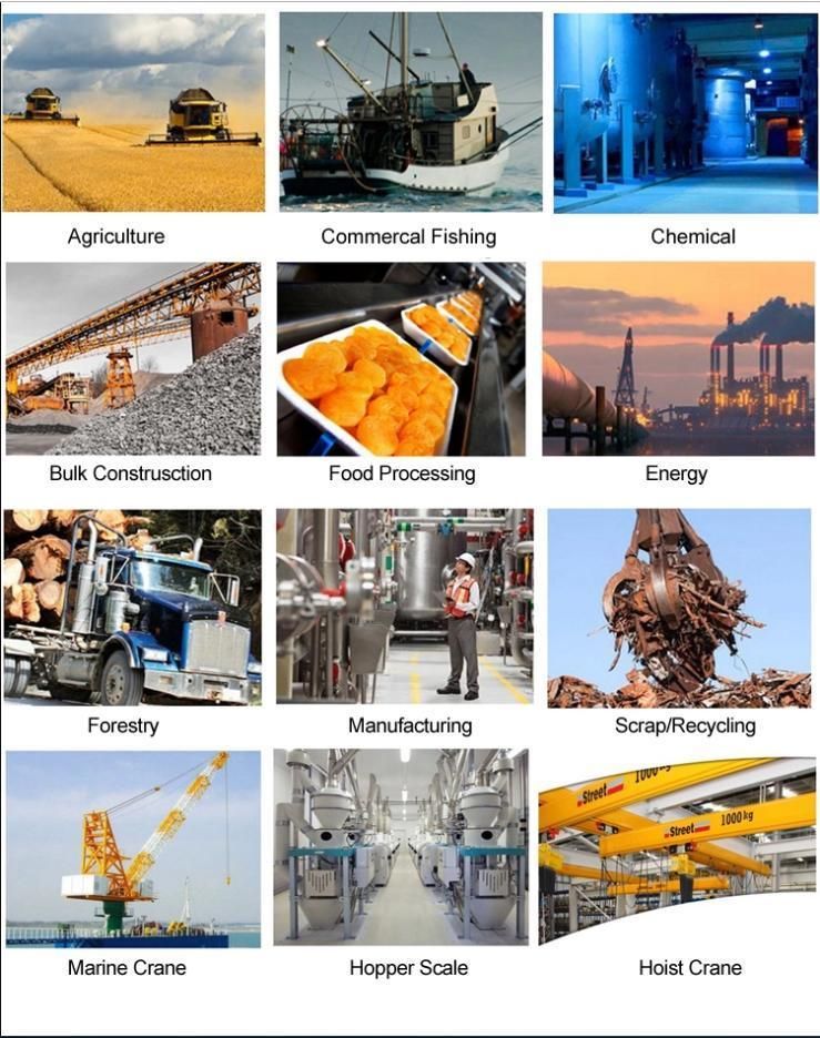 Factory Manufacturer Lift Chain