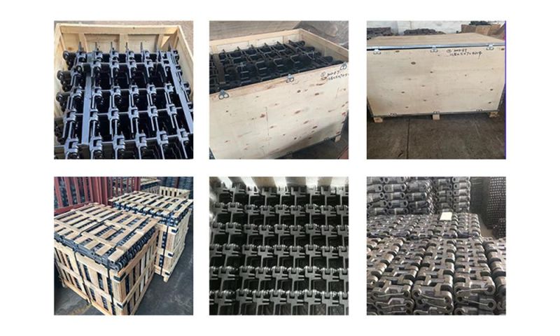 Stainless Steel Roller Chain and Other Special Conveyor Chain for Industrial Equipment