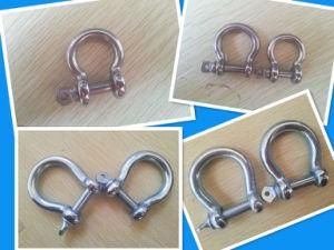 Galvanzied /Ss304/Ss316 European Large Bow Shackle