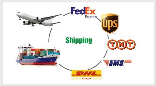 High Precision Stainless Steel /Metal Stamping Part /Auto Parts