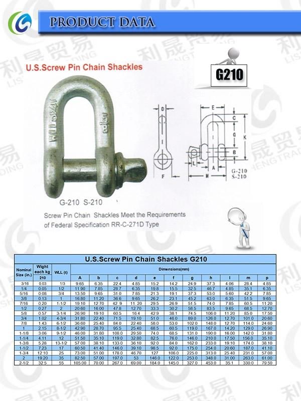 Factory Price Stainless Steel 304 316 Us Type G210 D Shackle